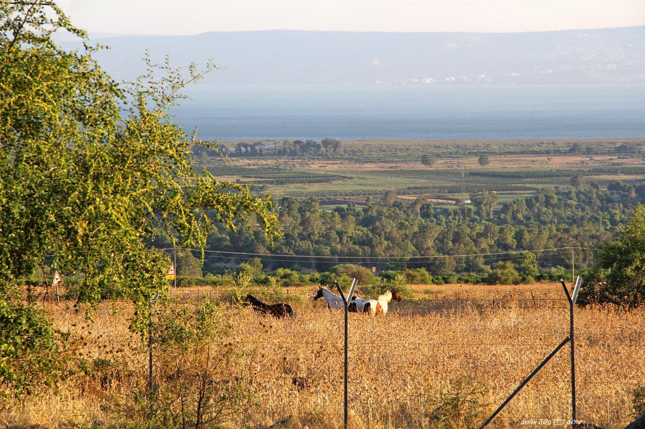 Nof Kinneret Cabins Had Nes Exterior photo